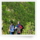 Hiking Lozère, Cevennes, Gorge du Tarn